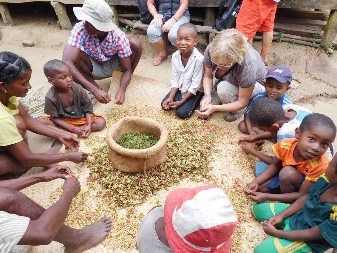 Projet Madagascar