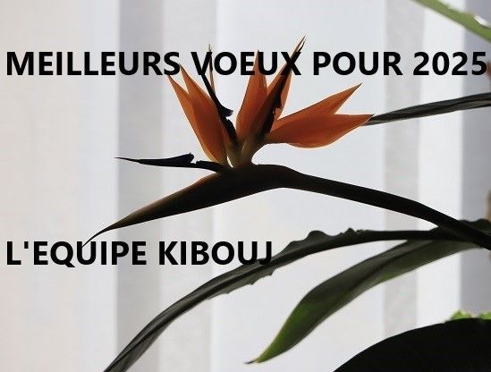 VOEUX